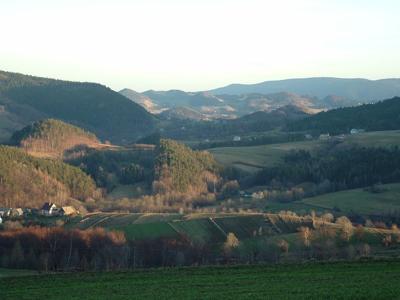 Gmina Wiśniowa