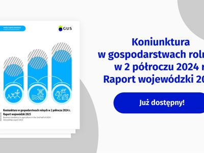 Grafika z jasnym tłem, niebieskimi i granatowymi elementami i tekstem oraz logo GUS.