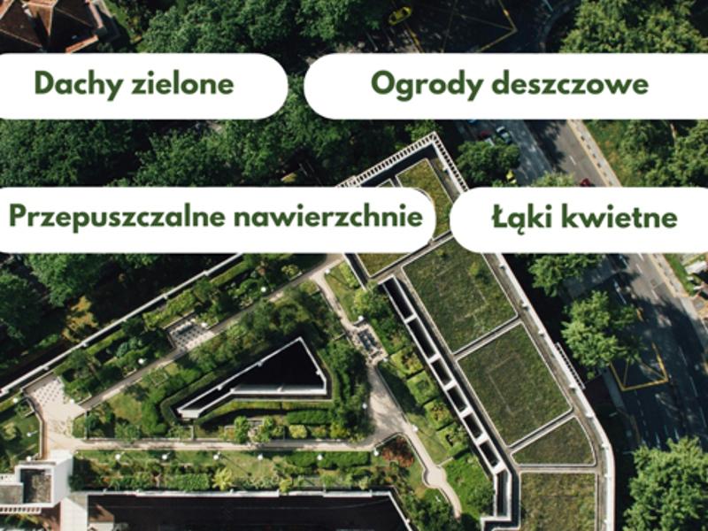 Widok z lotu ptaka na zielone dachy i ogrody z podpisami: błękitno-zielona infrastruktura, dachy, ogrody, łąki, nawierzchnie.