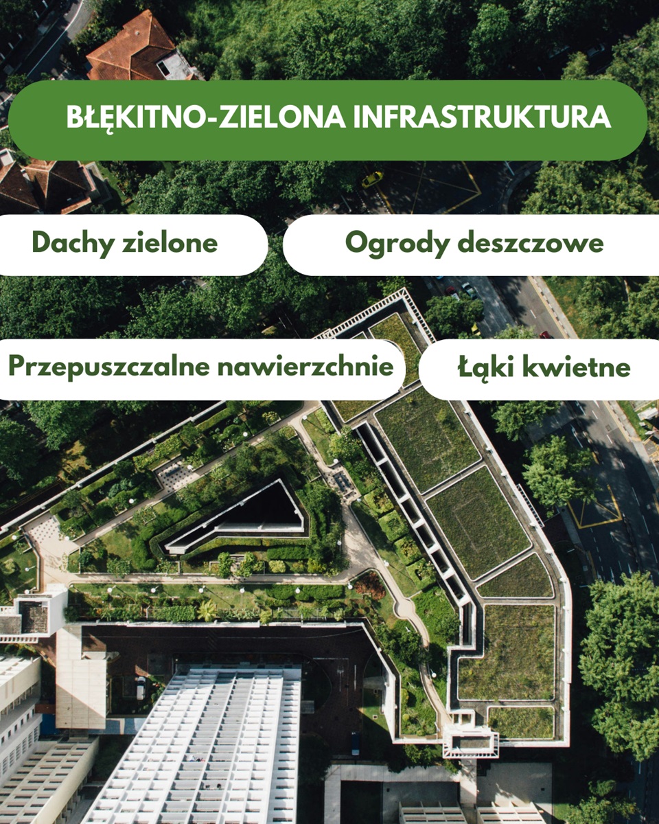 Widok z lotu ptaka na zielone dachy i ogrody z podpisami: błękitno-zielona infrastruktura, dachy, ogrody, łąki, nawierzchnie.