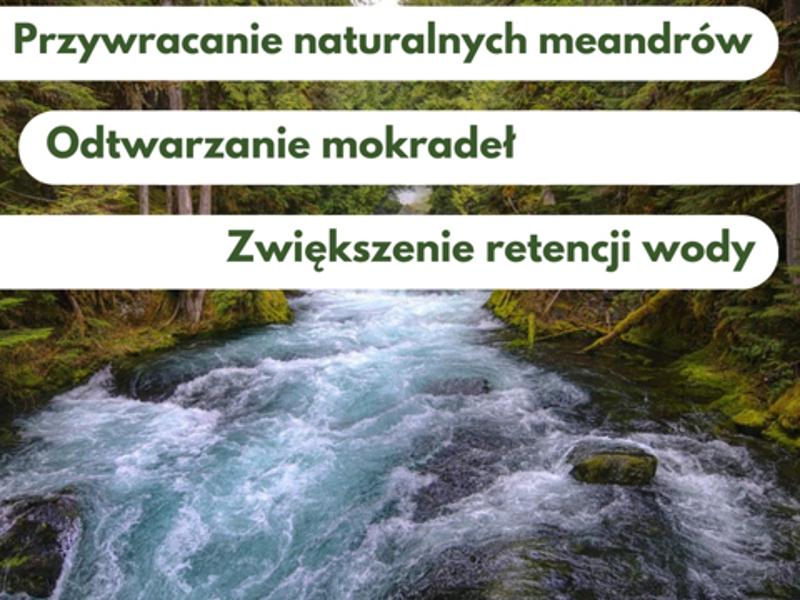 Górski potok otoczony lasem, infografika o renaturyzacji rzek i terenów zalewowych.