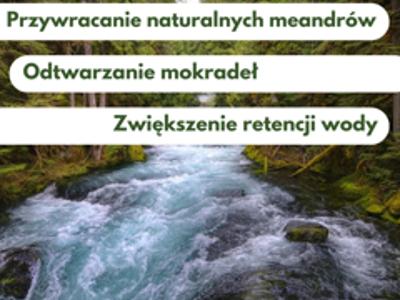 Górski potok otoczony lasem, infografika o renaturyzacji rzek i terenów zalewowych.