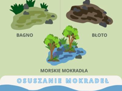  Infografika pokazująca rodzaje mokradeł: bagno, błoto, morskie mokradła i skutki ich osuszania.
