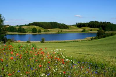 Jezioro Bycek - copyright by Wojciech Darski „Mazury od środka”