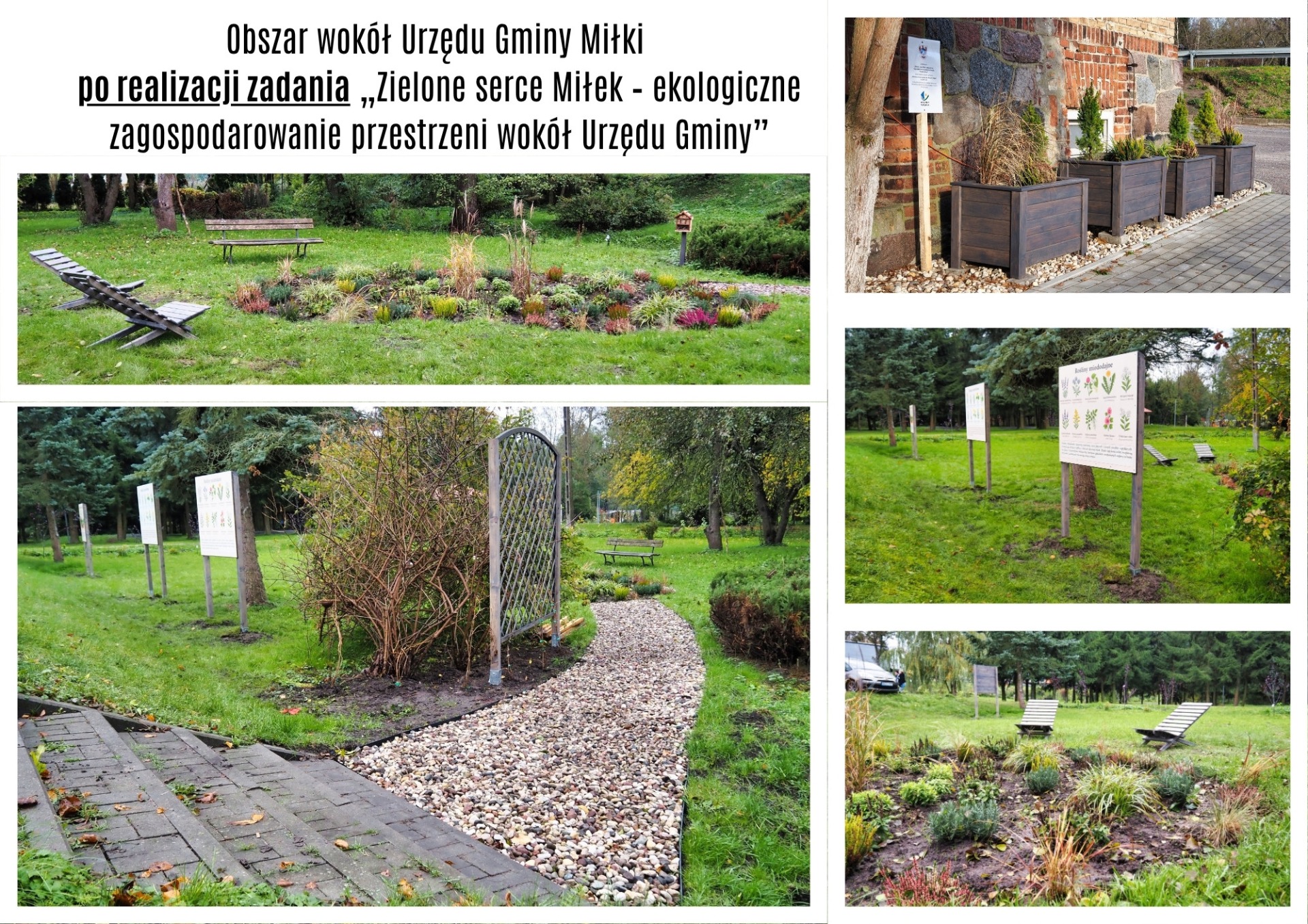 obszar_wokol_urzedu_gminy_milki_po_realizacji_zadania_zielone_serce_milek_ekologiczne_zagospodarowanie_przestrzeni_wokol_urzedu_gminy.jpg [1920x1357]