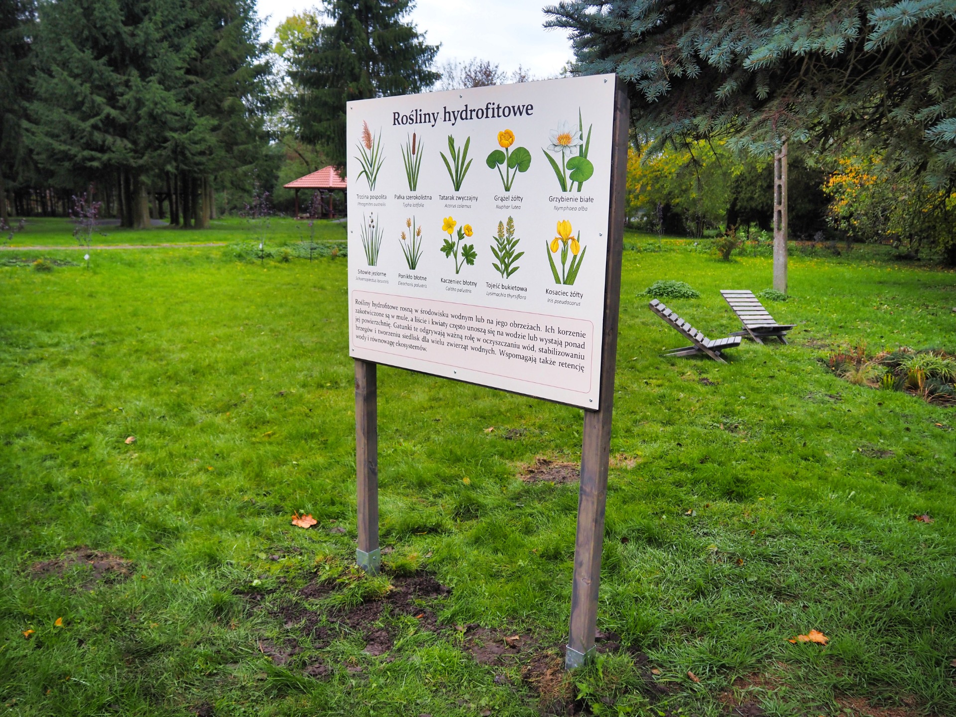 zielone_serce_milek_ekologiczne_zagospodarowanie_przestrzeni_wokol_urzedu_gminy_iii.jpg [1920x1440]