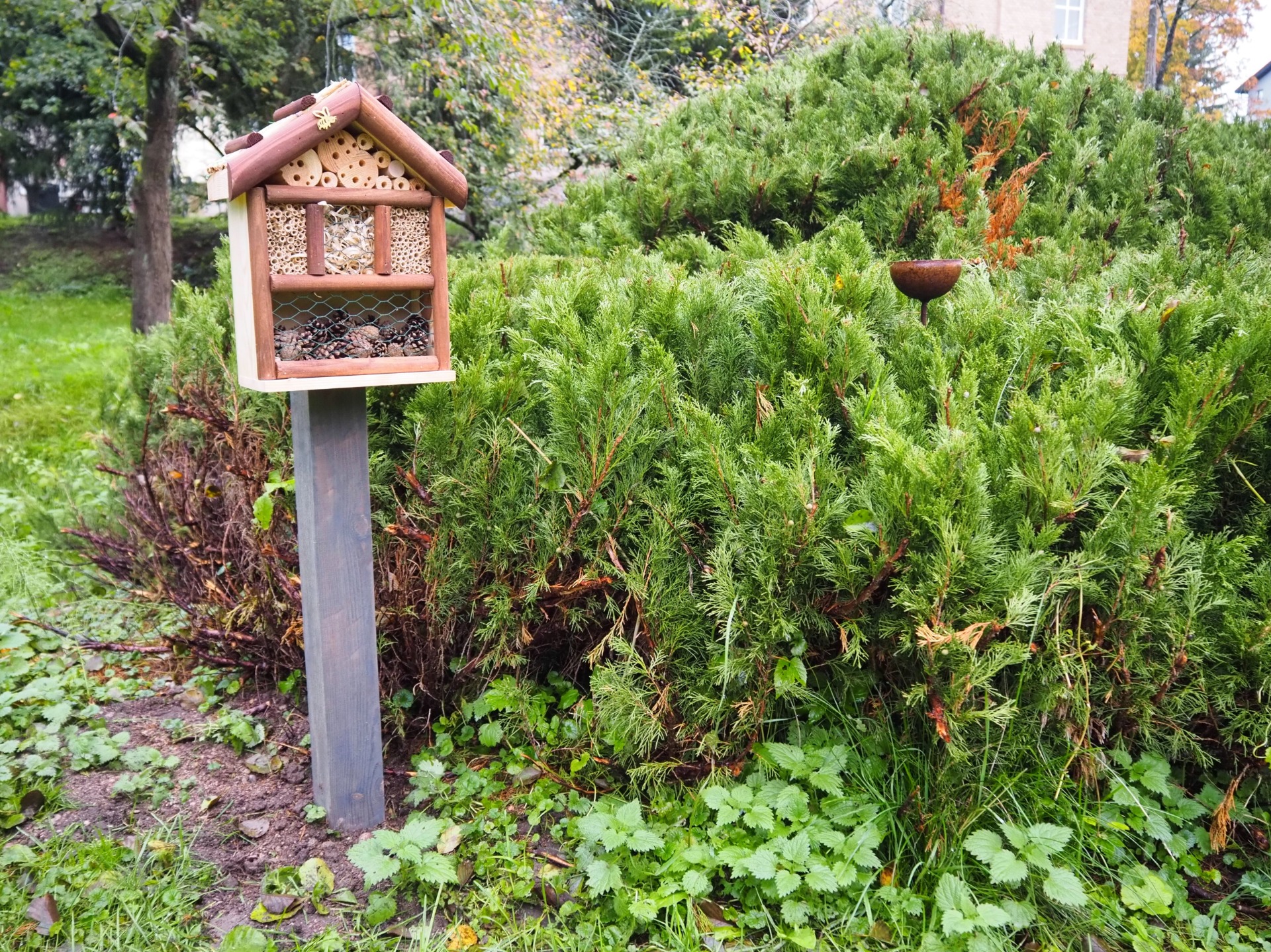 zielone_serce_milek_ekologiczne_zagospodarowanie_przestrzeni_wokol_urzedu_gminy_vii.jpg [1920x1439]