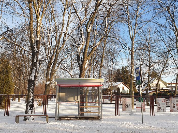 zielonainfra2resize.jpg [700x525]