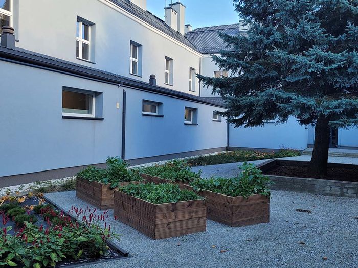 zielonainfra3resize.jpg [700x525]