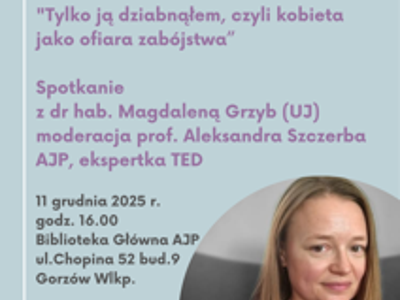 PPrzemoc wobec kobiet: perspektywa prawa