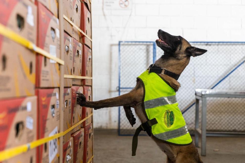 Strategia antynarkotykowa UE