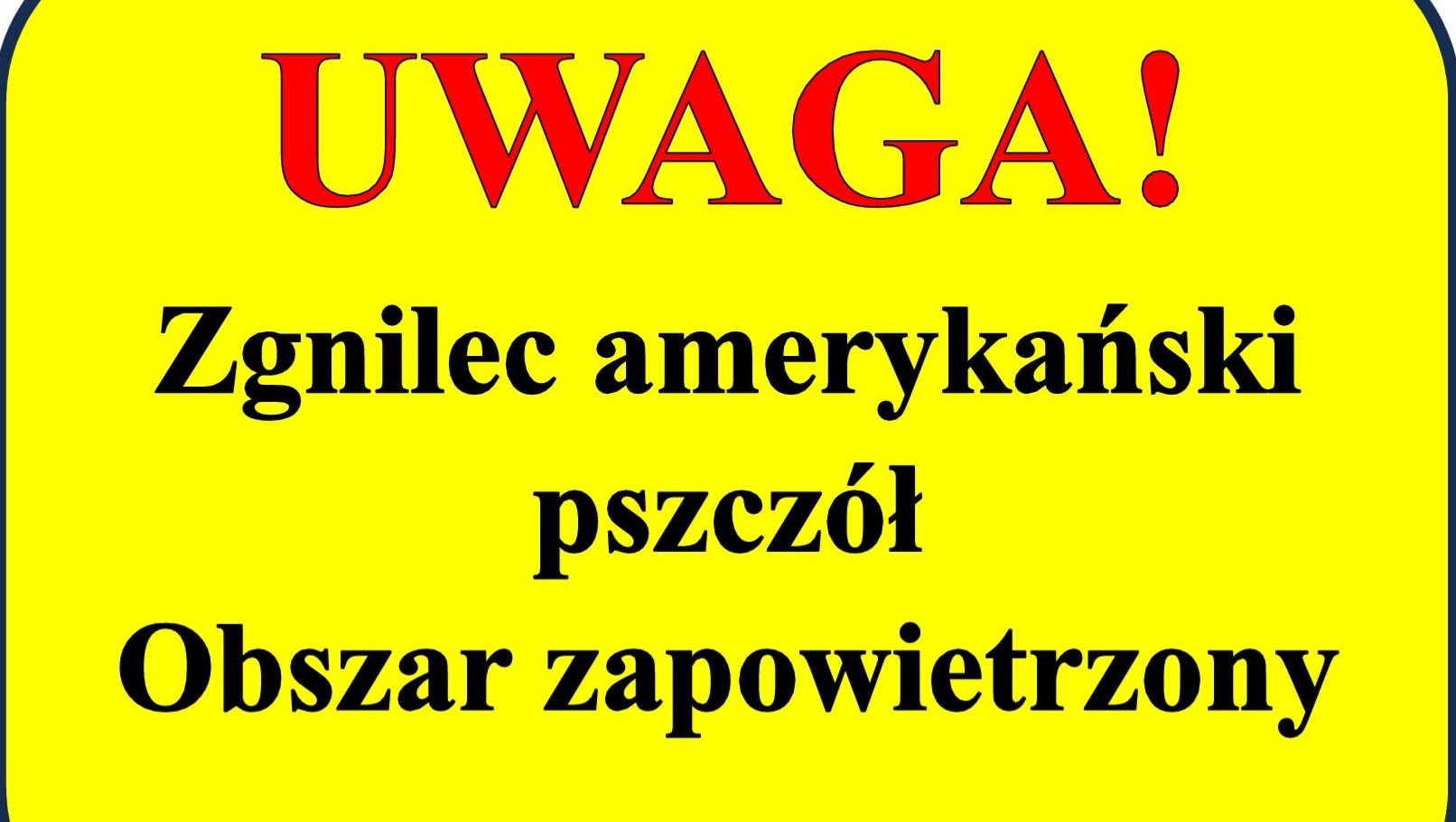 Zgnilec amerykański pszczół