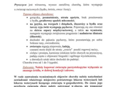 Pryszczyca