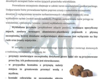 Szczepienia lisów