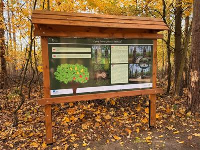 aktywne sołectwo 2025