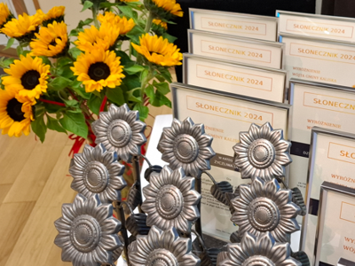 słoneczniki