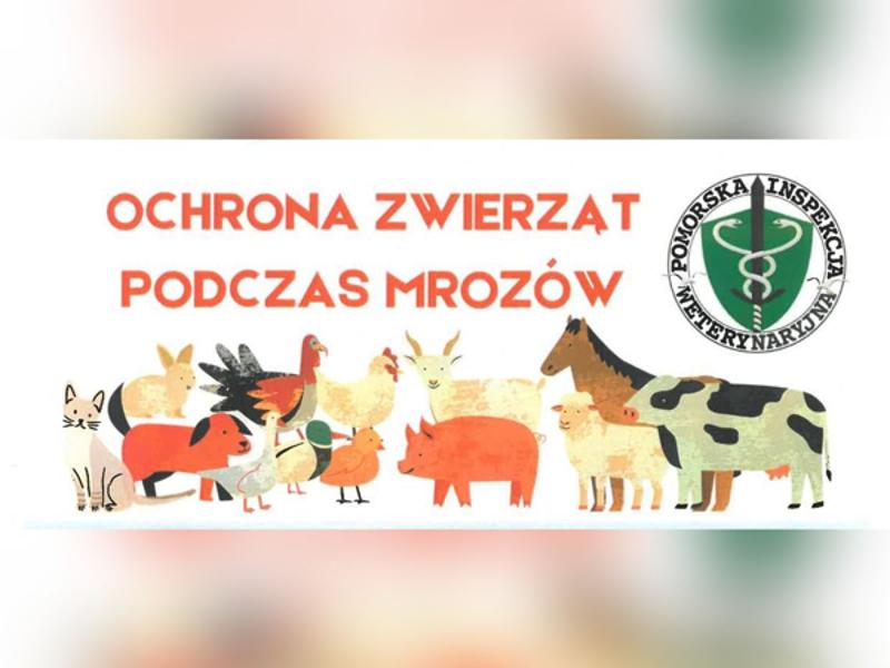 ochrona zwierząt