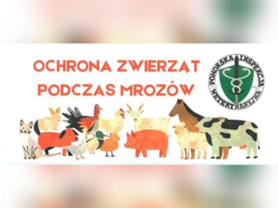 ochrona zwierząt