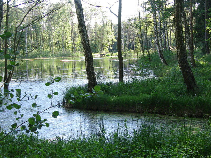 Zdjęcie Stawów