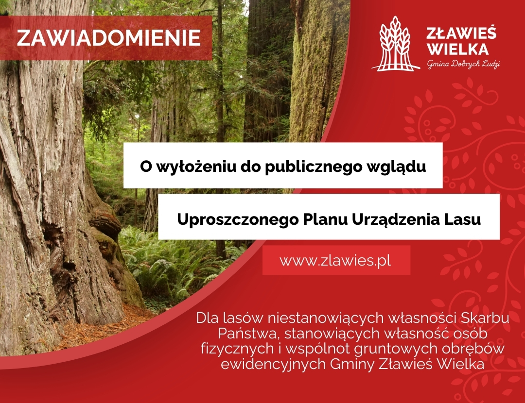 Grafika - lasy