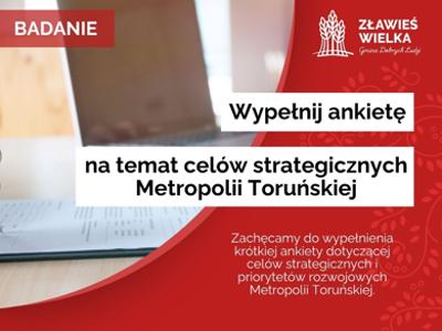 Ankieta "Cele strategiczne metropolii toruńskiej"