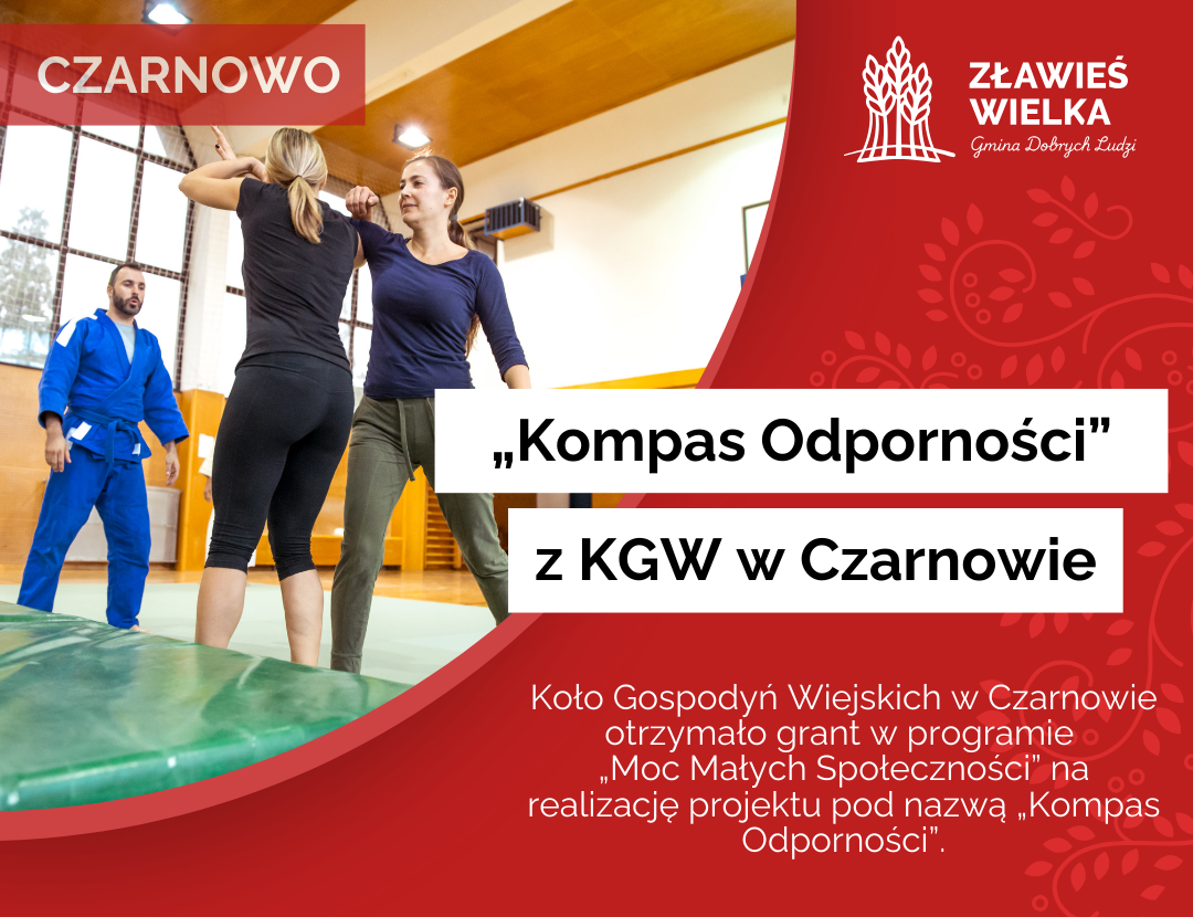Kompas Odporności