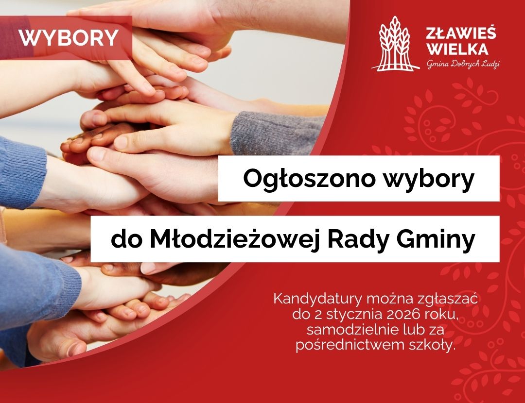 Wybory do Młodzieżowej Rady Gminy
