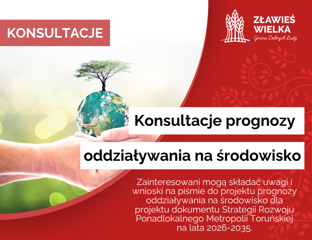 Konsultacje