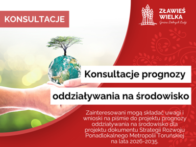Konsultacje