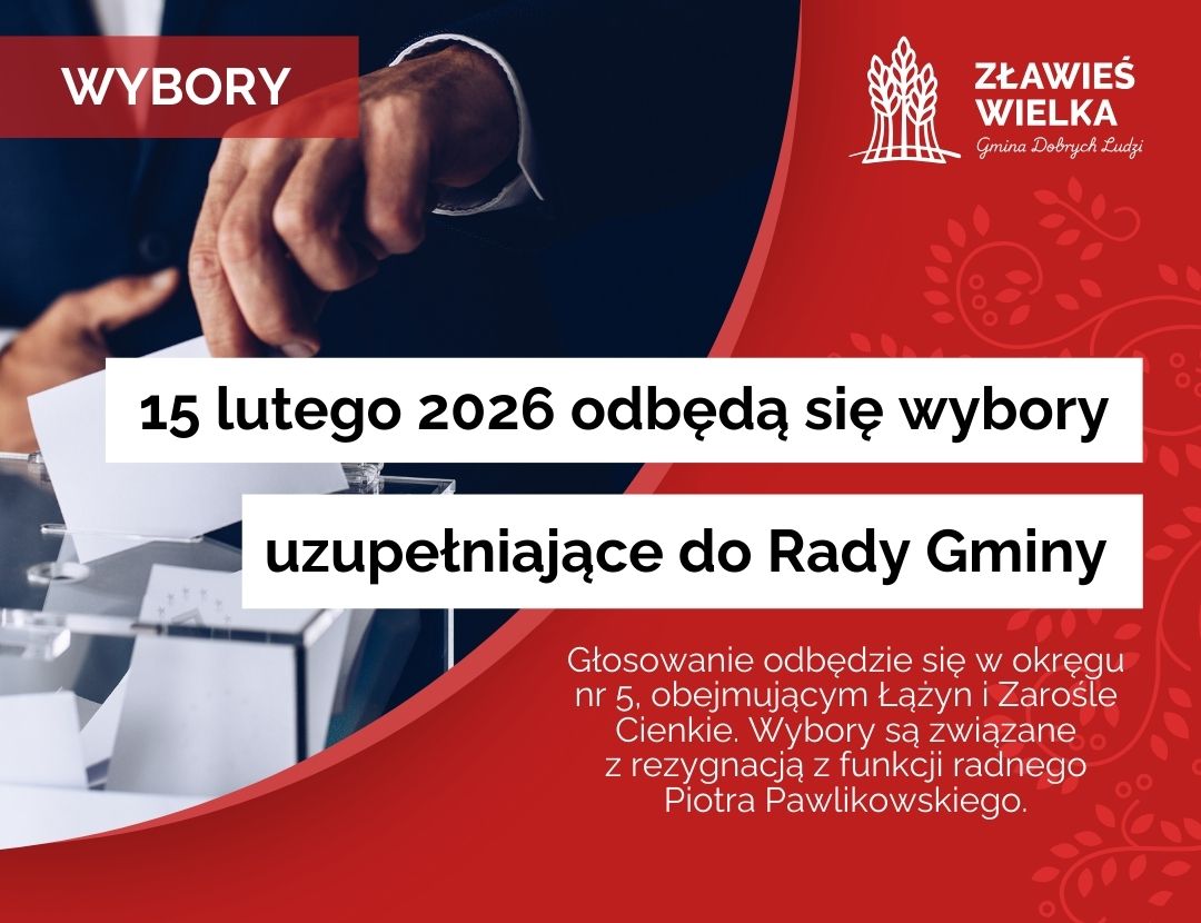 wybory uzupełniające 2026