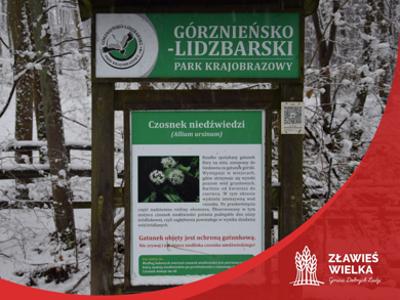 Warsztaty ekologiczne w Górznie