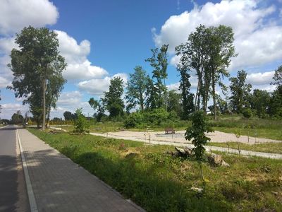 Park Dębów Katyńskich w Wielkiej Klonii.