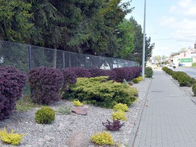 Skarpy Gostycyńskie maj 2020 - ul. Bydgoska