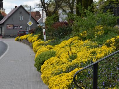 Skarpy Gostycyńskie - maj 2020 r. ul. Główna