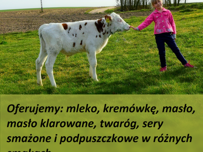 REKLAMA