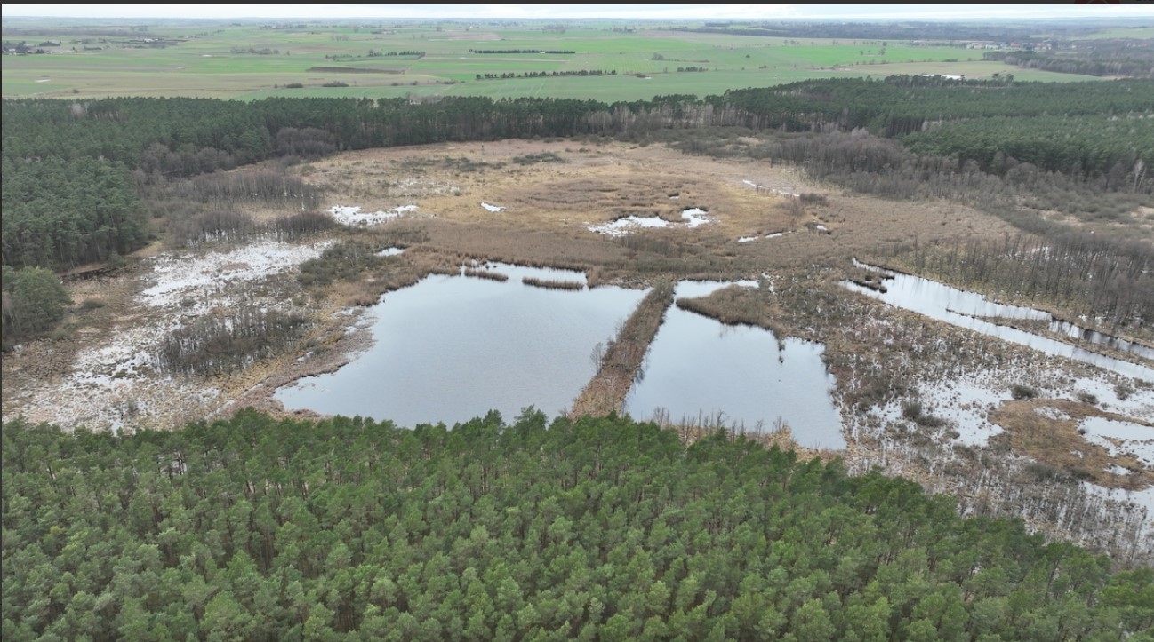 Uroczysko "Kiełpinek" fot. RDOŚ w Bydgoszczy