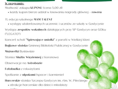 Program Festynu