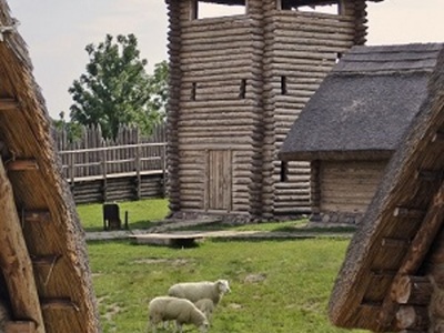 Grodzisko Owidz