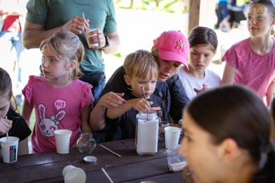 piknik w grodzisku