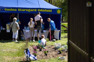 piknik w grodzisku