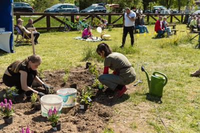 piknik w grodzisku