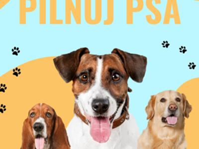 PILNUJ PSA
