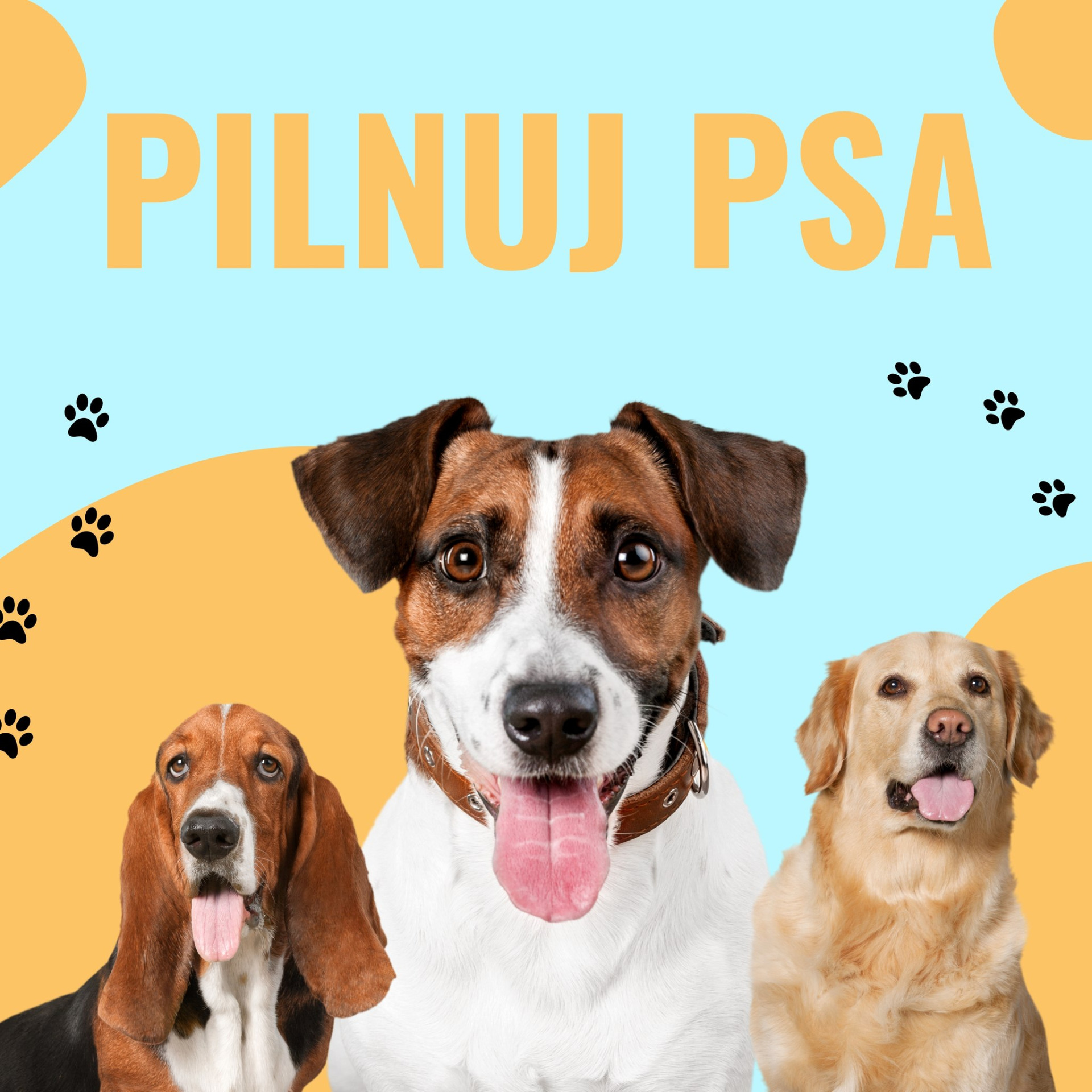 PILNUJ PSA