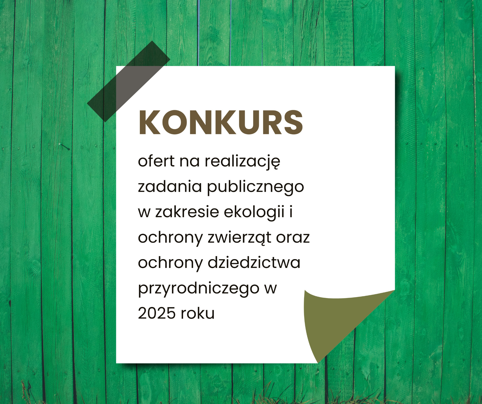 KONKURS ROZSTRZYGNIĘCIE