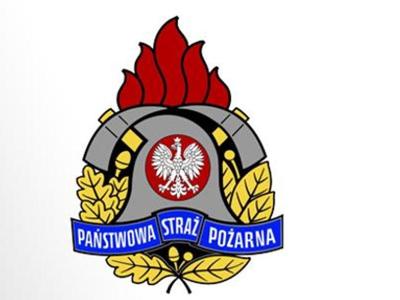 Logo PSP