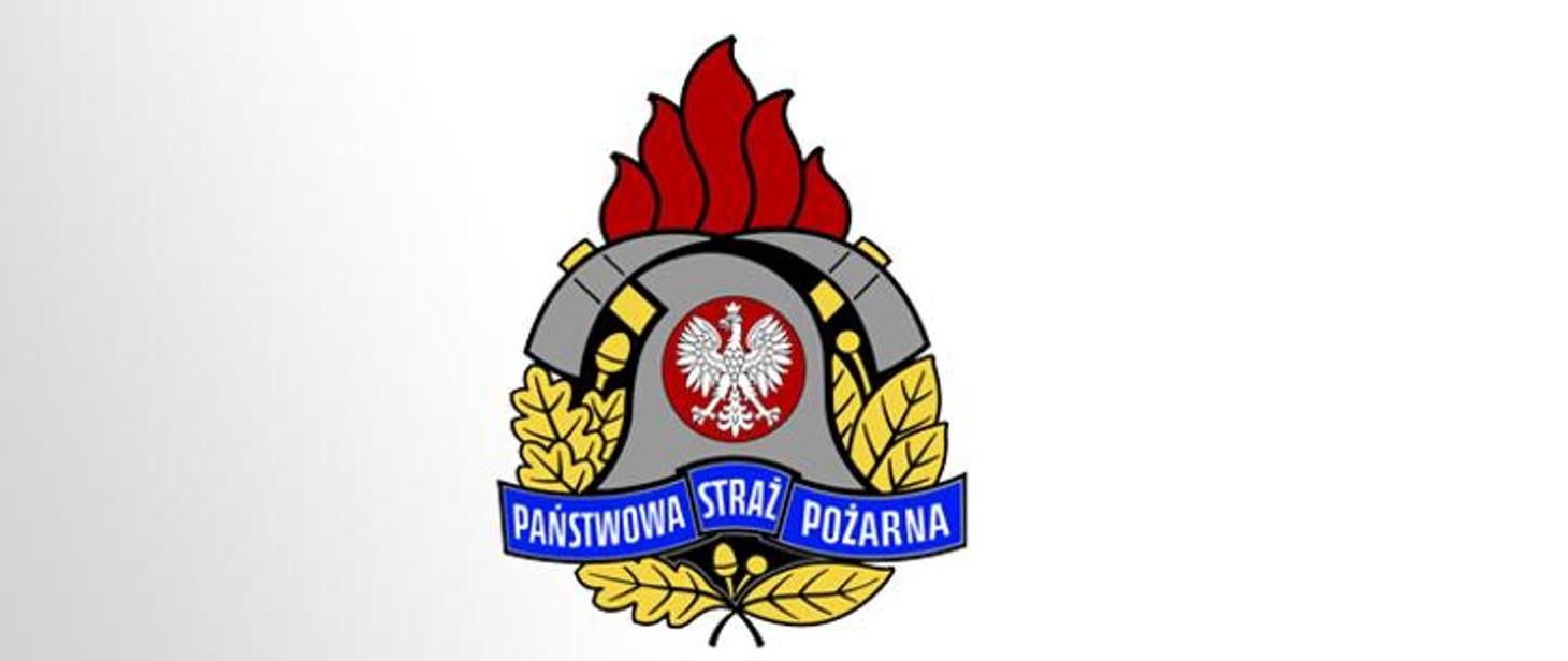 Logo PSP