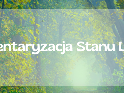 Plakat, źródło: https://samorzad.gov.pl/