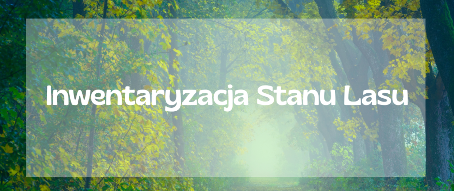 Plakat, źródło: https://samorzad.gov.pl/