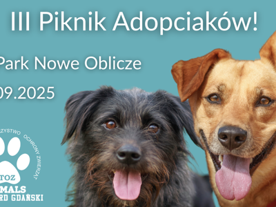 III Piknik Starogardzkich Adopciaków