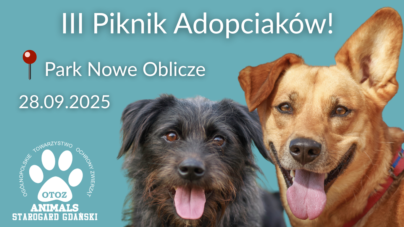III Piknik Starogardzkich Adopciaków